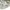 ZARA Minimalist Casual Polo shirt Pria cream photo 4
