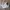 Puma Emo Casual Sneakers Pria white cream photo 1