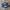 Adidas Indie Casual Sneakers Pria navy photo 1