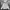 AllSaints Streetwear Casual Hoody Pria Gray