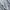 AllSaints Streetwear Casual Hoody Pria gray photo 3