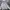 AllSaints Streetwear Casual Hoody Pria gray photo 2