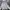AllSaints Streetwear Casual Hoody Pria Gray