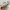 Coach Vintage Y2K Shoulder bag Wanita tan cream photo 4