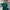 Streetwear Polo shirt Pria green photo 1