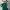 Streetwear Polo shirt Pria green photo 2