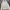 KIRSH Streetwear Casual Hoody Pria tan cream photo 5