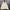 KIRSH Vintage Streetwear Hoody Pria cream yellow photo 4