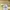 KIRSH Vintage Streetwear Hoody Pria cream yellow photo 7