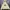 KIRSH Vintage Streetwear Hoody Pria cream yellow photo 1