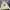 KIRSH Vintage Streetwear Hoody Pria cream yellow photo 2