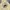 KIRSH Vintage Streetwear Hoody Pria cream yellow photo 3