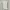 ZARA Luxury Casual dress Wanita white photo 3