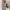 ZARA Luxury Casual dress Wanita white photo 1