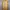 Champion Streetwear Sportswear Jersey Pria blue yellow photo 2