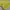 Streetwear Minimalist Sweatshirt Pria green yellow photo 5