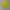 Streetwear Minimalist Sweatshirt Pria green yellow photo 2