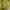 Streetwear Minimalist Sweatshirt Pria green yellow photo 6