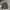 Dickies Y2K Skater Fleece Pria gray photo 1