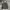 Dickies Y2K Skater Fleece Pria Gray