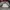 Dickies Y2K Skater Fleece Pria gray photo 3