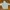 Champion Streetwear Hoody Pria gray photo 1