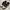 Nike Streetwear Casual Sneakers Pria Multicolor