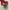 VANS Streetwear Casual Casual shoe Pria red photo 3