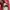 VANS Streetwear Casual Casual shoe Pria red photo 5