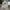 Adidas Streetwear Skater Sweater Pria gray photo 2