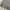 Adidas Streetwear Skater Sweater Pria gray photo 4