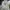 Adidas Streetwear Skater Sweater Pria gray photo 1