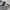 Semantic Design Y2K Avant Garde Polo shirt Pria black photo 5