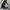 Semantic Design Y2K Avant Garde Polo shirt Pria black photo 4