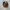 Carhartt Streetwear Minimalist Bag Pria brown photo 1
