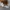Carhartt Streetwear Skater Hat Pria brown photo 3