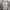 Streetwear Gorpcore Wide leg jeans Wanita white cream photo 4