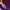 Streetwear Hoody Pria purple photo 4