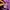Streetwear Hoody Pria purple photo 5