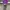 Streetwear Hoody Pria Purple