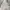 Polo Ralph Lauren Streetwear Other Pria White