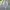 Vintage Y2K Skirt Wanita gray photo 2