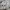 Vintage Cosplay Crop top Wanita white photo 1