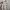 Vintage Y2K Cardigan Wanita cream photo 1