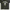 A Bathing Ape Casual T-shirt Wanita black photo 2