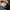 Nike Streetwear Casual Sneakers Pria multicolor black photo 7