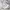 Jil Sander Avant Garde Casual Shirt Wanita white photo 4
