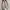 Minimalist Casual Flat Wanita tan photo 1