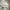 Dickies Vintage Sportswear Hoody Pria white photo 3