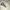 Dickies Vintage Sportswear Hoody Pria white photo 2